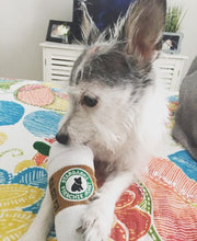 Load image into Gallery viewer, Starbarks Coffee Cup Dog Toy